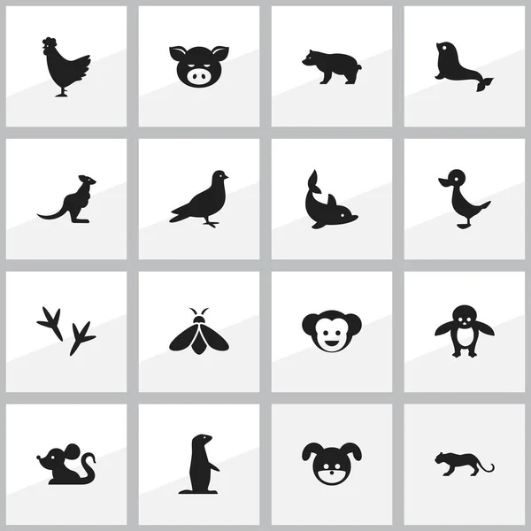 16 可编辑动物学图标集。包括蜂蜜、 猞猁、 企鹅等符号。可用于 Web、 移动、 Ui 和数据图表设计. — 图库矢量图片