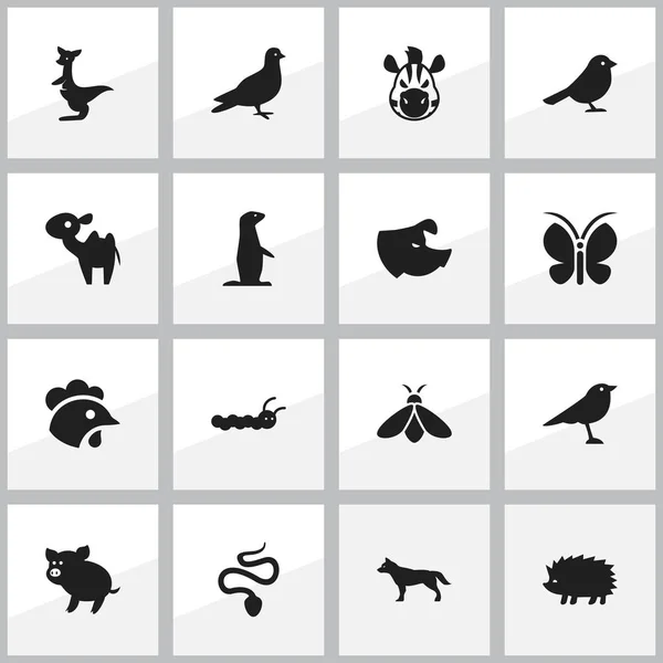 Zestaw 16 ikon edycji natura. Zawiera symbole, takie jak kangur, Catbird, Świstaka i więcej. Mogą być używane dla sieci Web, mobilnych, interfejsu użytkownika i Infographic Design. — Wektor stockowy