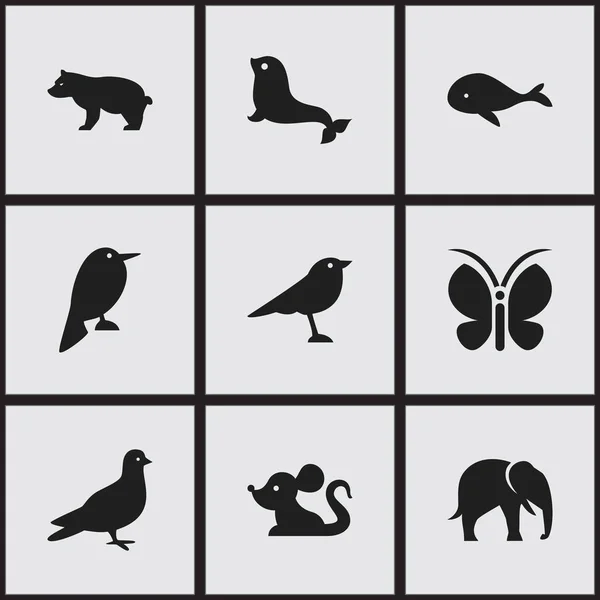 Set von 9 editierbaren Tiersymbolen. enthält Symbole wie Katze, Taube, Polartier und mehr. kann für Web-, Mobil-, UI- und Infografik-Design verwendet werden. — Stockvektor