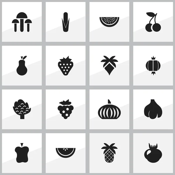 Conjunto de 16 iconos de frutas editables. Incluye símbolos como el maíz, el ajo, el melón y más. Puede ser utilizado para el diseño de la tela, móvil, interfaz de usuario e infografía . — Vector de stock