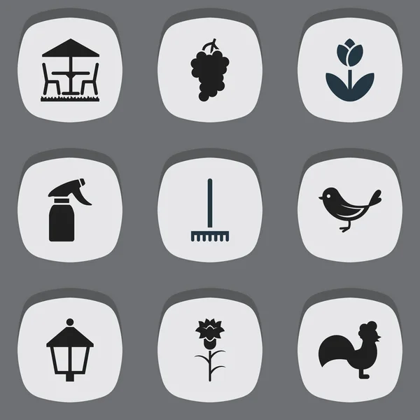 Set de 9 iconos de jardín editables. Incluye símbolos como racimo, flor, limpiador de vidrio y más. Puede ser utilizado para el diseño de la tela, móvil, interfaz de usuario e infografía . — Archivo Imágenes Vectoriales