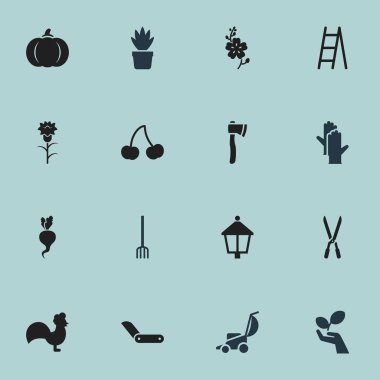 16 düzenlenebilir tarım simgeler kümesi. Pot Bush, kabak, çiçek ve daha fazlası gibi simgeler içerir. Web, mobil, UI ve Infographic tasarımı için kullanılabilir.
