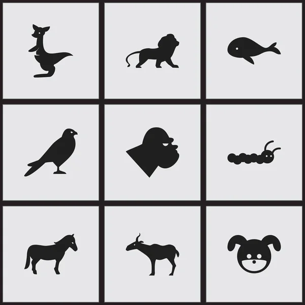 Набор из 9 редактируемых зоологических икон. Включает в себя такие символы, как щенок, дикий кот, жеребец и многое другое. Can be used for Web, Mobile, UI and Infographic Design . — стоковый вектор