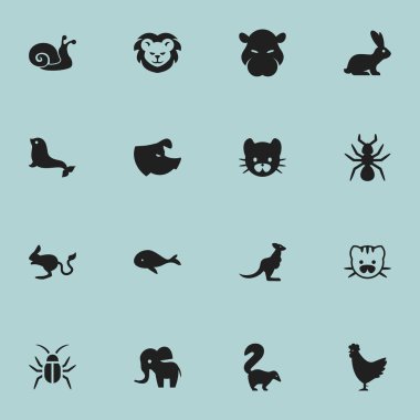 16 düzenlenebilir zooloji simgeler kümesi. Araptavşanı, horoz, canavar ve daha fazlası gibi simgeler içerir. Web, mobil, UI ve Infographic tasarımı için kullanılabilir.