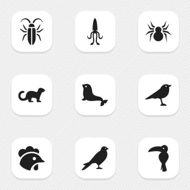 9 düzenlenebilir Hayvanat Bahçesi simgeler kümesi. Horoz, hata, Catbird ve daha fazlası gibi simgeler içerir. Web, mobil, UI ve Infographic tasarımı için kullanılabilir.