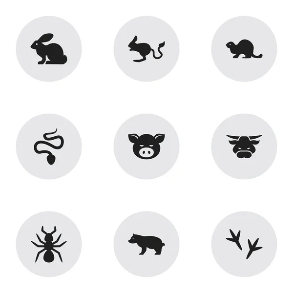 Set van 9 bewerkbare zoölogie iconen. Bevat symbolen zoals Wildlife Castor, Piggy, bedwantsen en meer. Kan worden gebruikt voor Web, Mobile, Ui en Infographic Design. — Stockvector