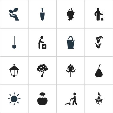 16 düzenlenebilir bitki simgeler kümesi. Spade, taze meyve, Digger insan ve daha fazlası gibi simgeler içerir. Web, mobil, UI ve Infographic tasarımı için kullanılabilir.