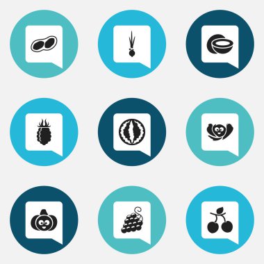 9 düzenlenebilir mutfak eşyaları simgeler kümesi. Soğan, tatlı meyve, fıstık ve daha fazlası gibi simgeler içerir. Web, mobil, UI ve Infographic tasarımı için kullanılabilir.