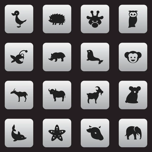 Conjunto de 16 iconos animales editables. Incluye símbolos como Rhino, Sea Calf, Búho y más. Puede ser utilizado para el diseño de la tela, móvil, interfaz de usuario e infografía . — Archivo Imágenes Vectoriales