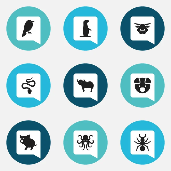 Set de 9 iconos editables del zoológico. Incluye símbolos tales como tentáculo, Philomel, cerdo y más. Puede ser utilizado para el diseño de la tela, móvil, interfaz de usuario e infografía . — Vector de stock