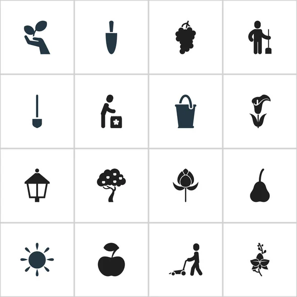 Conjunto de 16 iconos de plantas editables. Incluye símbolos tales como espadas, fruta fresca, excavadora humana y más. Puede ser utilizado para el diseño de la tela, móvil, interfaz de usuario e infografía . — Archivo Imágenes Vectoriales