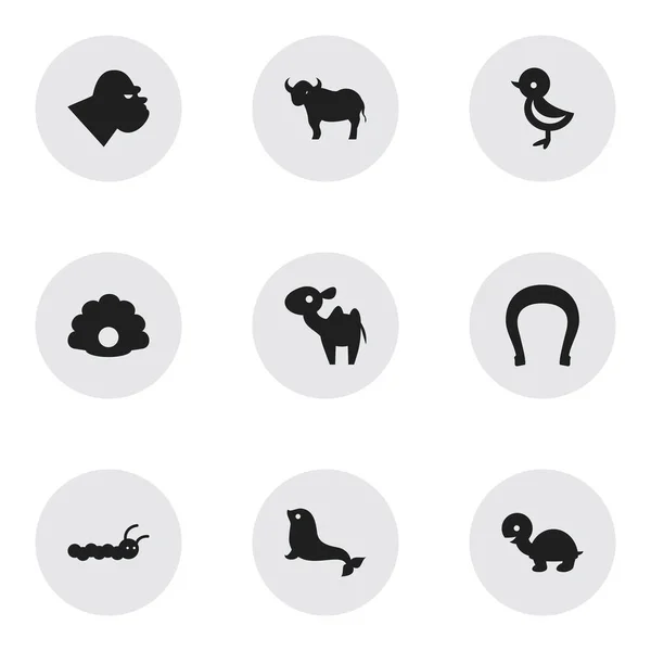 Set Of 9 Editable Nature Icons. Includes Symbols Such As Bird, Conch, Ox And More. Can Be Used For Web, Mobile, UI And Infographic Design. — Stock Vector