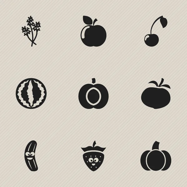 Conjunto de 9 iconos vegetales editables. Incluye símbolos como pepino, melón, fresa y más. Puede ser utilizado para el diseño de la tela, móvil, interfaz de usuario e infografía . — Vector de stock