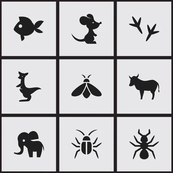 Set de 9 iconos editables del zoológico. Incluye símbolos como rodaballo, vaca, cucaracha y más. Puede ser utilizado para el diseño de la tela, móvil, interfaz de usuario e infografía . — Archivo Imágenes Vectoriales