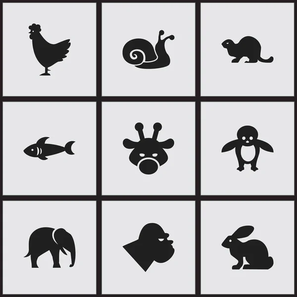 Conjunto de 9 Ícones do Zoológico Editável. Inclui símbolos como pinguim, tubarão, escargot e muito mais. Pode ser usado para Web, Mobile, UI e design infográfico . — Vetor de Stock