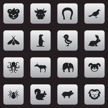 16 düzenlenebilir hayvan simgeler kümesi. Kuş, martı, dokunaç ve daha fazlası gibi simgeler içerir. Web, mobil, UI ve Infographic tasarımı için kullanılabilir.
