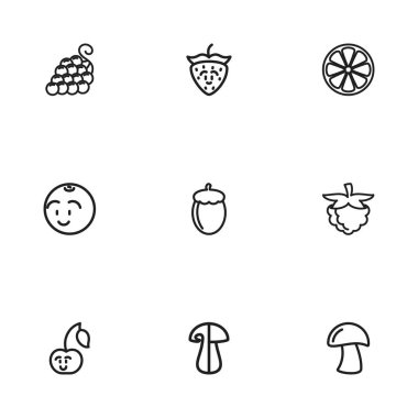 9 düzenlenebilir pişirme simgeler kümesi. Üzüm, ahududu, kiraz gülüyor ve daha fazlası gibi simgeler içerir. Web, mobil, UI ve Infographic tasarımı için kullanılabilir.