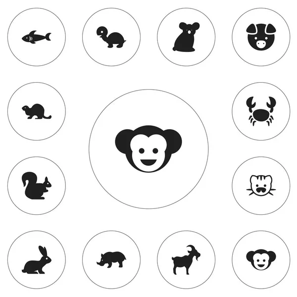 Conjunto de 12 iconos editables del zoológico. Incluye símbolos como tortuga, babuino, tiburón y más. Puede ser utilizado para el diseño de la tela, móvil, interfaz de usuario e infografía . — Archivo Imágenes Vectoriales