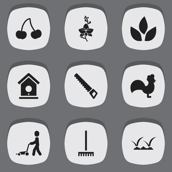 Set Of 9 Editable Planting Icons. Includes Symbols Such As Grass Cutting Machine, Birdhouse, Berry And More. Can Be Used For Web, Mobile, UI And Infographic Design. — Stock Vector