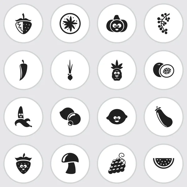 Набор из 16 настольных иконок. Включает такие символы, как лимон, фрукты джунглей, клюква и многое другое. Can be used for Web, Mobile, UI and Infographic Design . — стоковый вектор