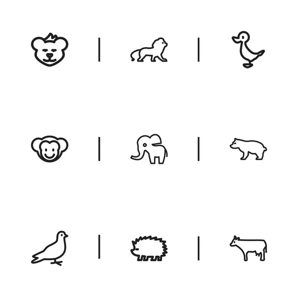 9 可编辑动物学图标集。包括符号鸽子、 捕食、 豪猪等。可用于 Web、 移动、 Ui 和数据图表设计. — 图库矢量图片