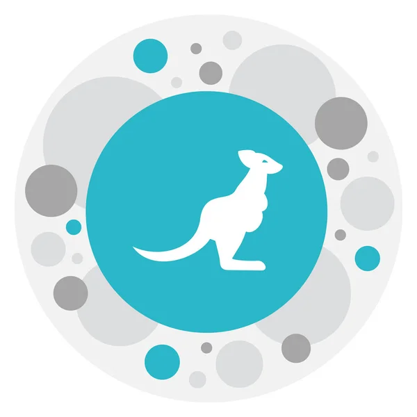 Illustrazione vettoriale del simbolo dello zoo sull'icona del canguro. Premium qualità isolato Wallaby elemento in stile piatto alla moda . — Vettoriale Stock