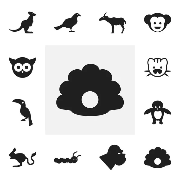 Set Of 12 Editable Zoology Icons. Includes Symbols Such As Gull, Chimpanzee, Baboon And More. Can Be Used For Web, Mobile, UI And Infographic Design. — Stock Vector