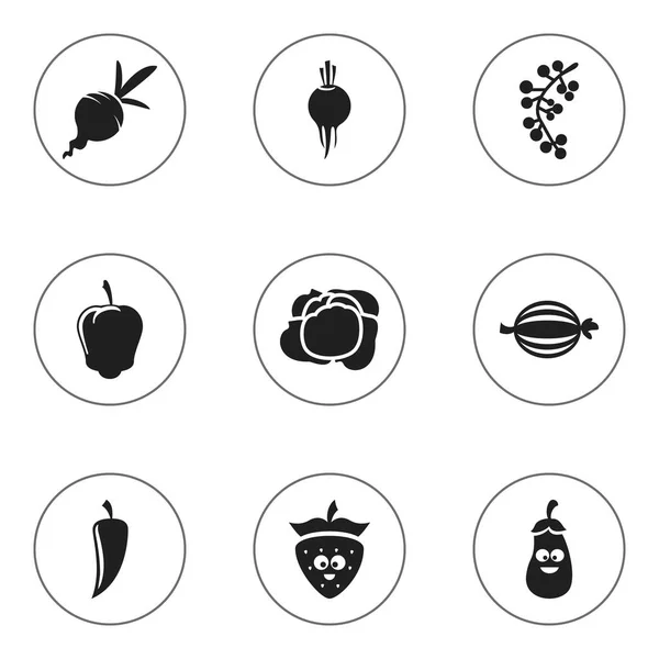 Set de 9 iconos de cocina editables. Incluye símbolos como el chile, arándano, pimiento dulce y más. Puede ser utilizado para el diseño de la tela, móvil, interfaz de usuario e infografía . — Vector de stock