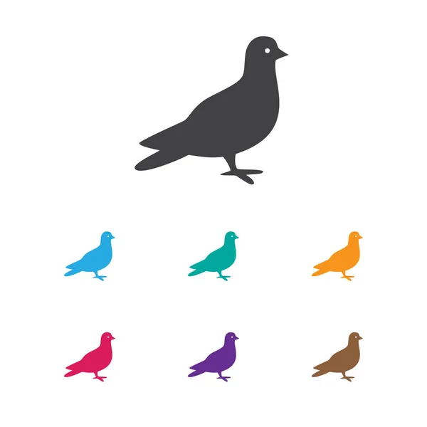 Ilustración vectorial del símbolo de zoología en el icono de Dove. Elemento de paloma aislado de calidad premium en estilo plano de moda . — Vector de stock