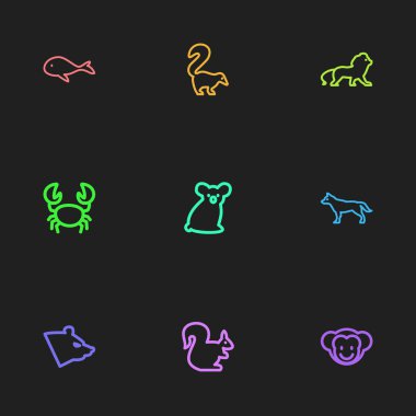 9 düzenlenebilir Hayvanat Bahçesi simgeler kümesi. Yengeç, yaban kedisi, balina ve daha fazlası gibi simgeler içerir. Web, mobil, UI ve Infographic tasarımı için kullanılabilir.