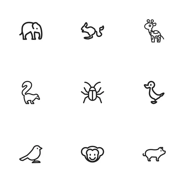 Ensemble de 9 icônes de zoo modifiables. Comprend des symboles tels que singe, porc, désert des rongeurs et plus encore. Peut être utilisé pour le Web, mobile, interface utilisateur et infographie . — Image vectorielle