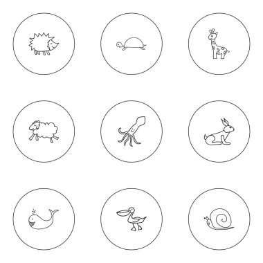 9 düzenlenebilir hayvan simgeler kümesi. Balina, Pelikan, Urchin ve daha fazlası gibi simgeler içerir. Web, mobil, UI ve Infographic tasarımı için kullanılabilir.