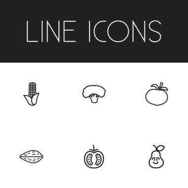 6 düzenlenebilir mutfak eşyaları simgeler kümesi. Sebze gibi simgeler içerir şalgam, Amygdalaceous ve daha fazlası. Web, mobil, UI ve Infographic tasarımı için kullanılabilir.