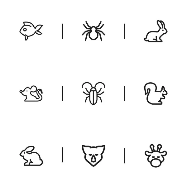 Set de 9 iconos editables de Zoología. Incluye símbolos como rodaballo, insecto, pan y más. Puede ser utilizado para el diseño de la tela, móvil, interfaz de usuario e infografía . — Archivo Imágenes Vectoriales