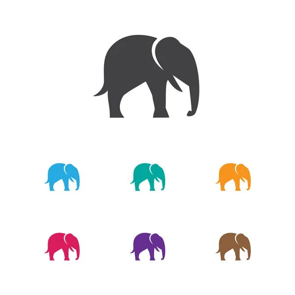 Vektorillustration des Zoosymbols auf Elefantensymbol. Premium-Qualität isolierten Stamm Tier Element in trendigen flachen Stil. — Stockvektor