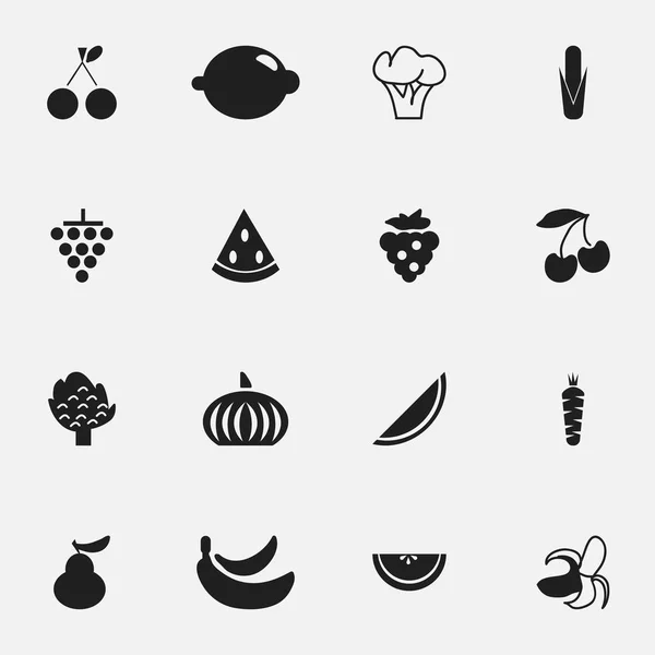 Набор из 16 настольных фруктовых иконок. Includes Symbols such as Seedless, Maize, Muskmelon and More. Can be used for Web, Mobile, UI and Infographic Design . — стоковый вектор