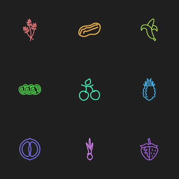 Set de 9 iconos de utensilios de cocina editables. Incluye símbolos como ciruelo, mandarín, eneldo. Puede ser utilizado para el diseño de la tela, móvil, interfaz de usuario e infografía . — Vector de stock