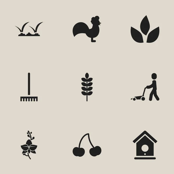 Conjunto de 9 iconos de plantación editables. Incluye símbolos como Frond, Rooster, Blossom y más. Puede ser utilizado para el diseño de la tela, móvil, interfaz de usuario e infografía . — Archivo Imágenes Vectoriales