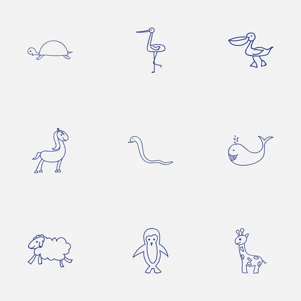 Set de 9 iconos editables de Zoología. Incluye símbolos como tortuga, pájaro polar, pelícano y más. Puede ser utilizado para el diseño de la tela, móvil, interfaz de usuario e infografía . — Vector de stock