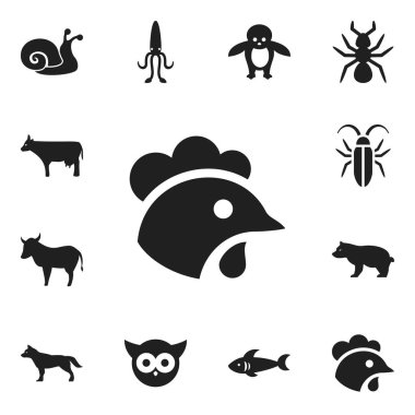 12 düzenlenebilir zooloji simgeler kümesi. Gece tavuk, horoz, köpek balığı ve daha fazlası gibi simgeler içerir. Web, mobil, UI ve Infographic tasarımı için kullanılabilir.