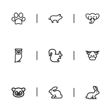 9 düzenlenebilir Hayvanat Bahçesi simgeler kümesi. Topuz, ayı, hortum ve daha fazlası gibi simgeler içerir. Web, mobil, UI ve Infographic tasarımı için kullanılabilir.