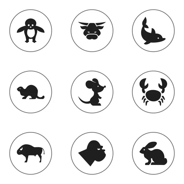 Set de 9 iconos editables del zoológico. Incluye símbolos como el chimpancé, el ricino de vida silvestre, la langosta y más. Puede ser utilizado para el diseño de la tela, móvil, interfaz de usuario e infografía . — Archivo Imágenes Vectoriales