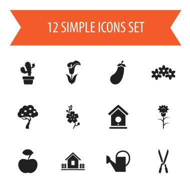 12 düzenlenebilir dikim simgeler kümesi. Patlıcan, çiçek, meyve Woods ve daha fazlası gibi simgeler içerir. Web, mobil, UI ve Infographic tasarımı için kullanılabilir.