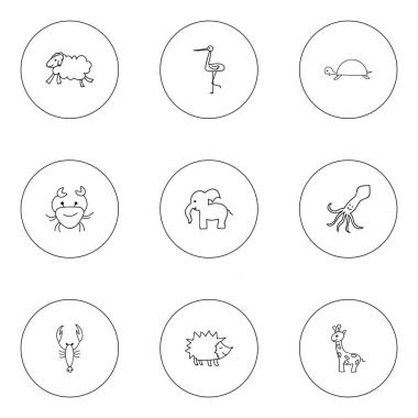 9 düzenlenebilir Hayvanat Bahçesi simgeler kümesi. Ewe, uzun boylu hayvan, kaplumbağa ve daha fazlası gibi simgeler içerir. Web, mobil, UI ve Infographic tasarımı için kullanılabilir.