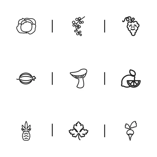 Σύνολο 9 εικονίδια επεξεργάσιμο μαγειρικά σκεύη. Περιλαμβάνει σύμβολα όπως ανανά, Laughtering σταφύλι, κουνουπίδι και άλλα. Μπορεί να χρησιμοποιηθεί για Web, Mobile, Ui και σχεδίασης γραφήματος. — Διανυσματικό Αρχείο