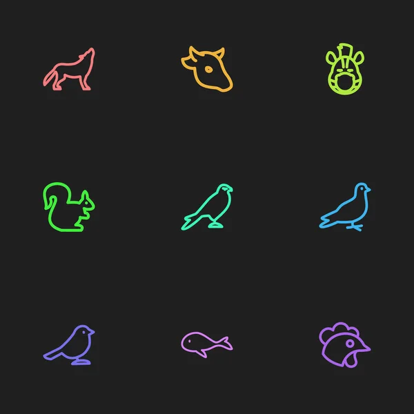 Set de 9 iconos animales editables. Incluye símbolos como caballo, bollo, cuervo y más. Puede ser utilizado para el diseño de la tela, móvil, interfaz de usuario e infografía . — Vector de stock