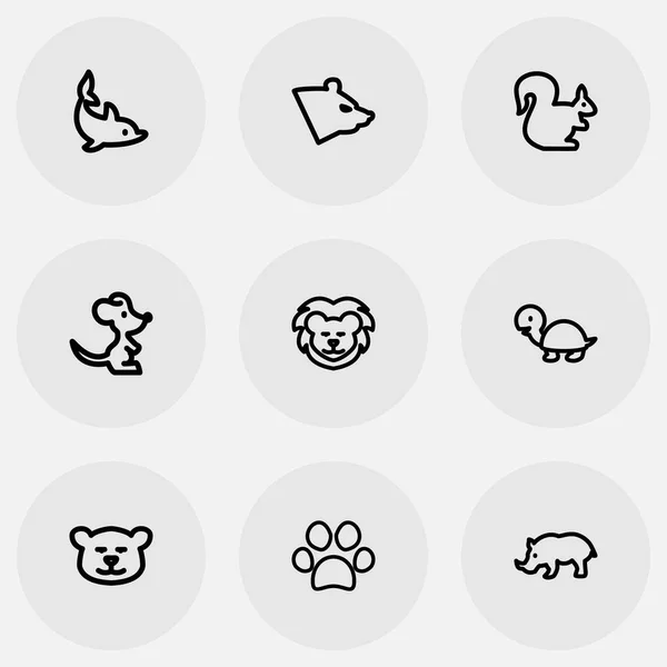 Conjunto de 9 Ícones animais editáveis. Inclui símbolos como Puma, Rhinoceros, Polar e muito mais. Pode ser usado para Web, Mobile, UI e design infográfico . —  Vetores de Stock