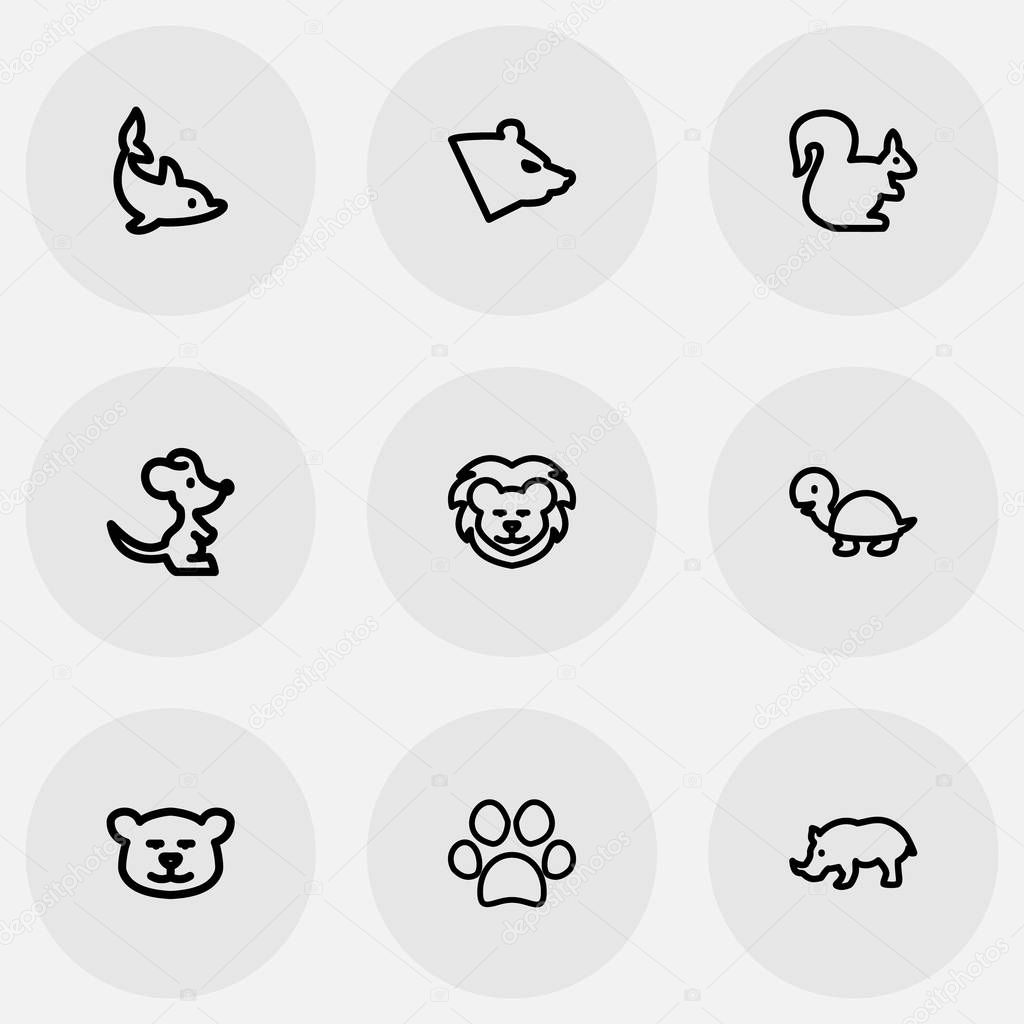 Set Of 9 Editable Animal Icons. Includes Symbols Such As Puma, Rhinoceros, Polar And More. Can Be Used For Web, Mobile, UI And Infographic Design.
