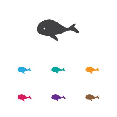 Hayvanat Bahçesi sembolü balina simge vektör Illustration. Premium Kalite okyanus Blower Trendy düz stil öğesinde izole.