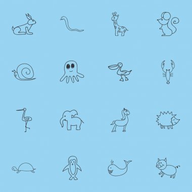 16 düzenlenebilir zooloji karalamalar kümesi. Kalamar, ıstakoz, kaplumbağa ve daha fazlası gibi simgeler içerir. Web, mobil, UI ve Infographic tasarımı için kullanılabilir.